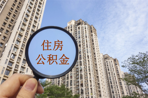 五指山公积金取（最新取住房公积金流程）